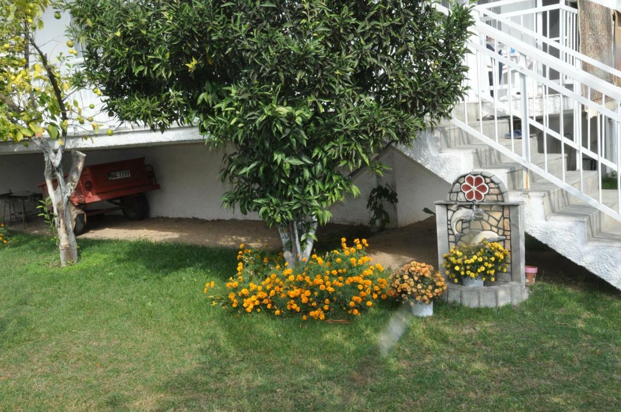 Despina Apartment Keramoti  Extérieur photo